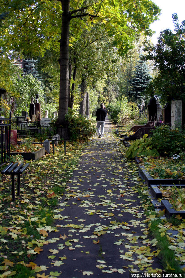 Осень. Новодевичье Москва, Россия