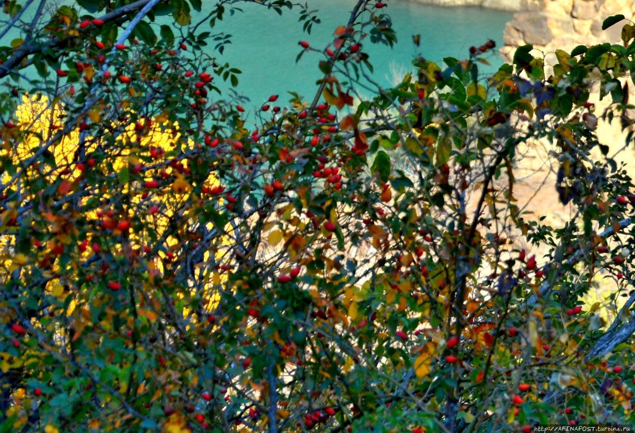 На катере по Сулакскому каньону с ветерком и 