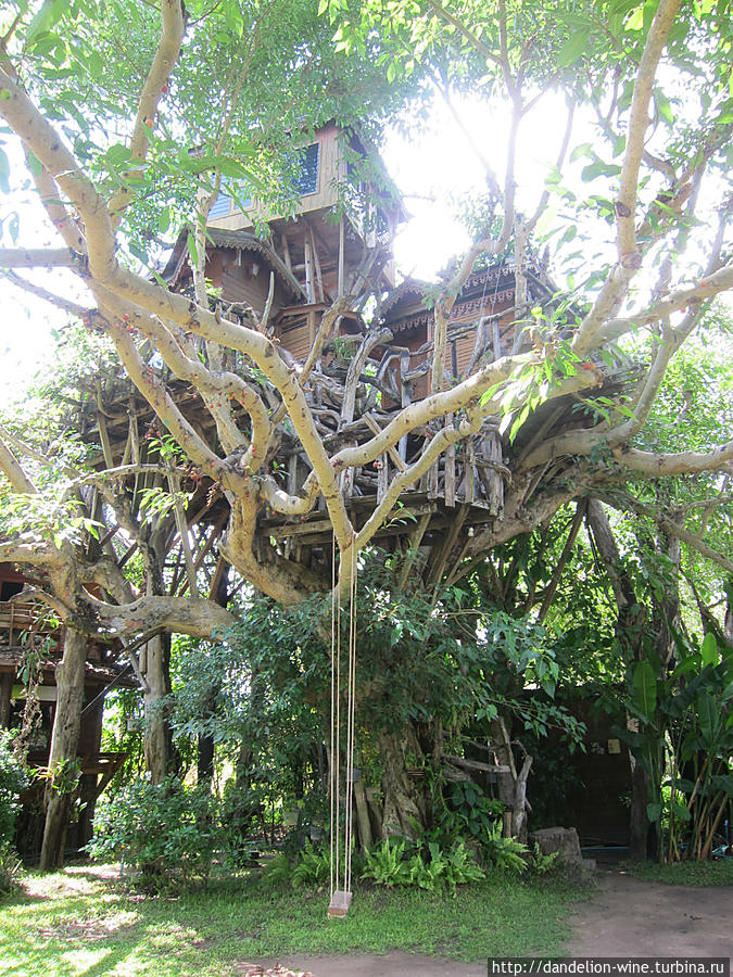 Pai Tree House Пай, Таиланд