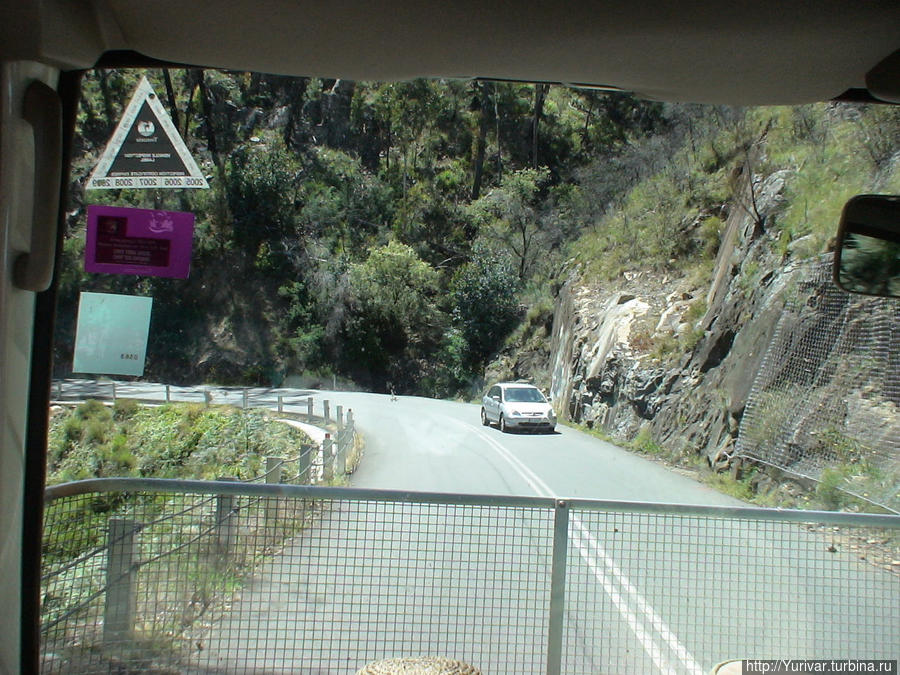 На дороге Тасмании. Многие машины имеют решотки, которые защищают машину от животных Штат Тасмания, Австралия