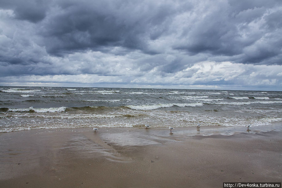 Берег Балтийского моря Юрмала, Латвия