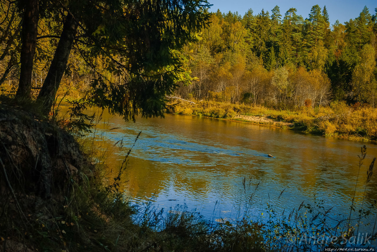 Утесы на реке Гауя Лигатне, Латвия