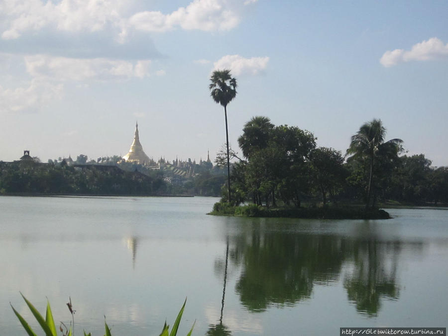 Kandawgyi Nature Park Янгон, Мьянма