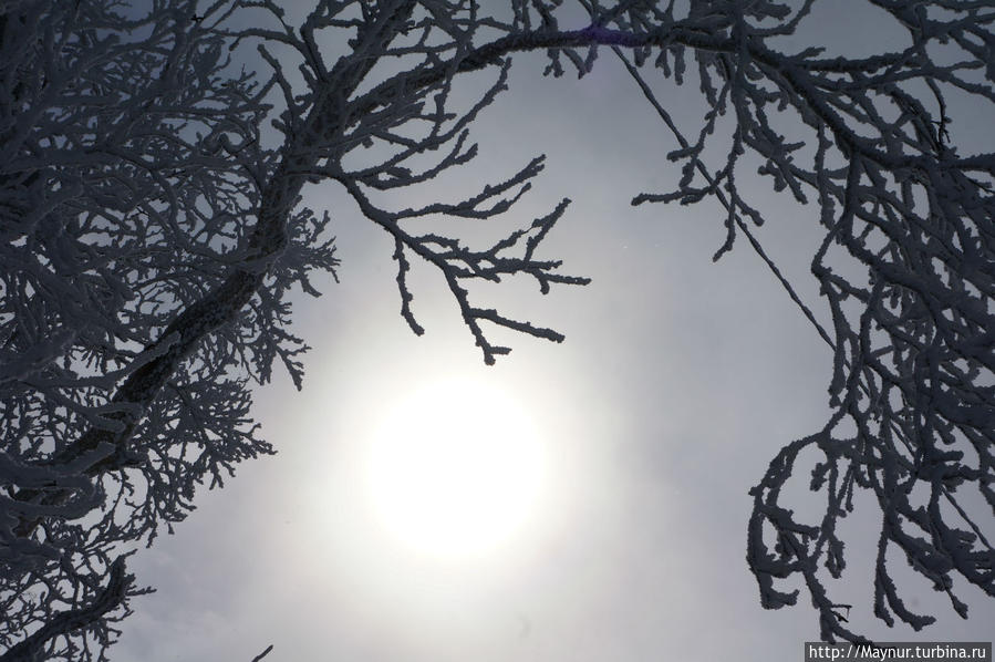 В  поисках    весны... Южно-Сахалинск, Россия