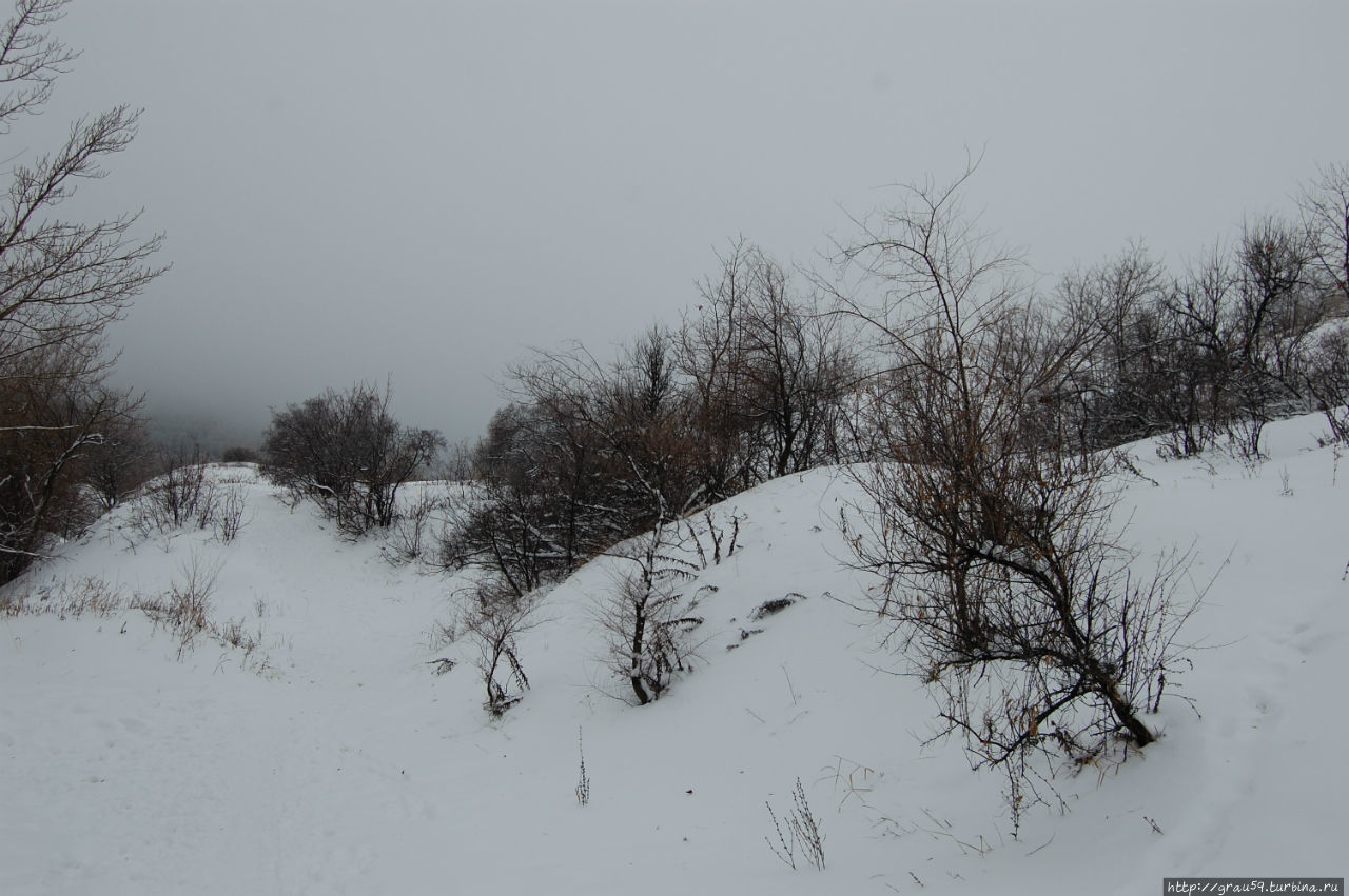 Октябрьское ущелье Саратов, Россия