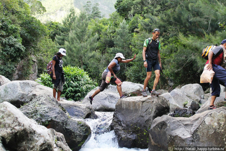 Логово без чудовищ Реюньон