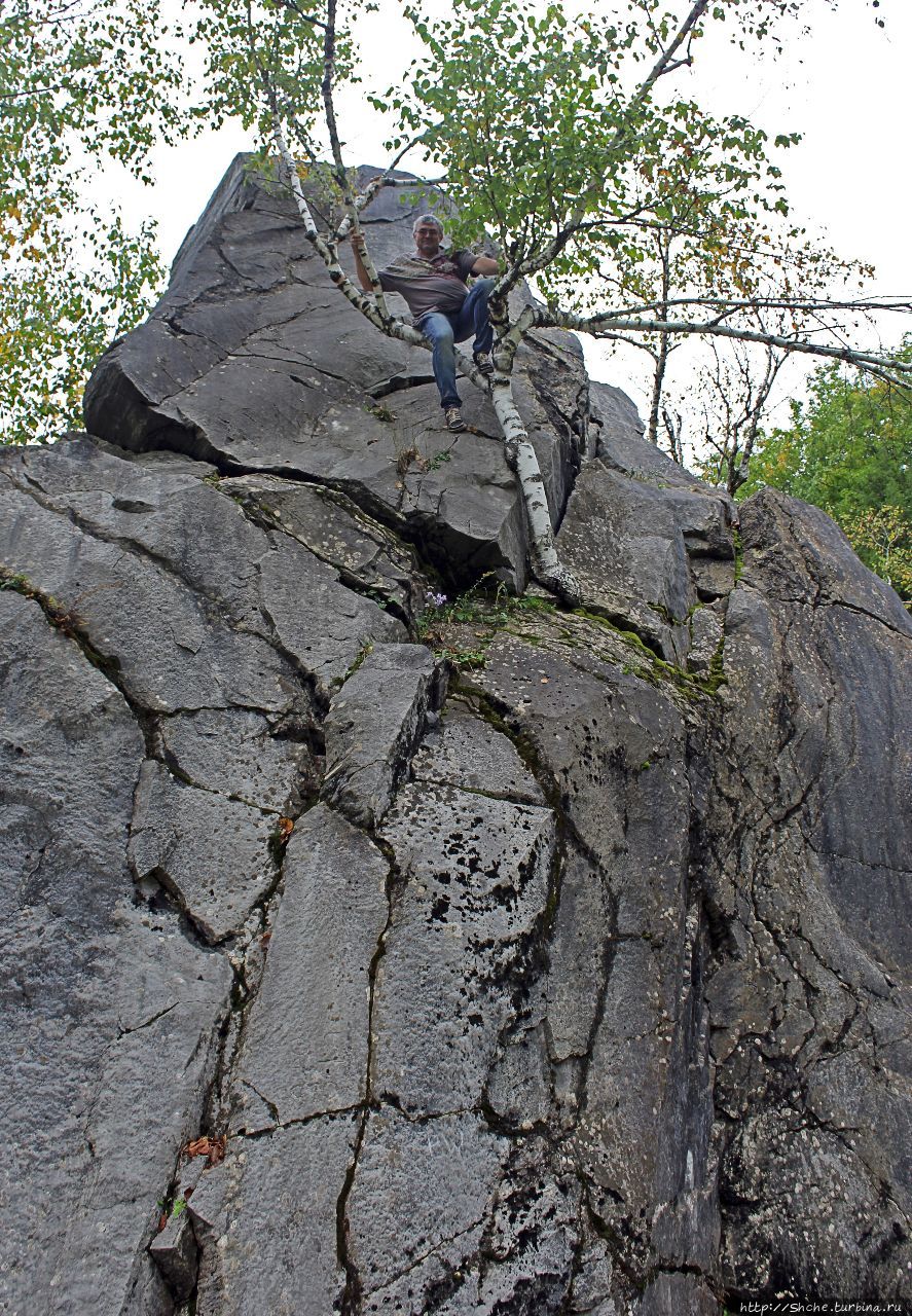 Заповедник  