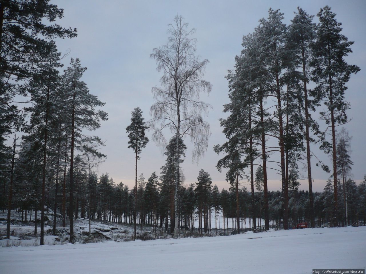 Вилла «Naava Chalet» Эхтяри, Финляндия