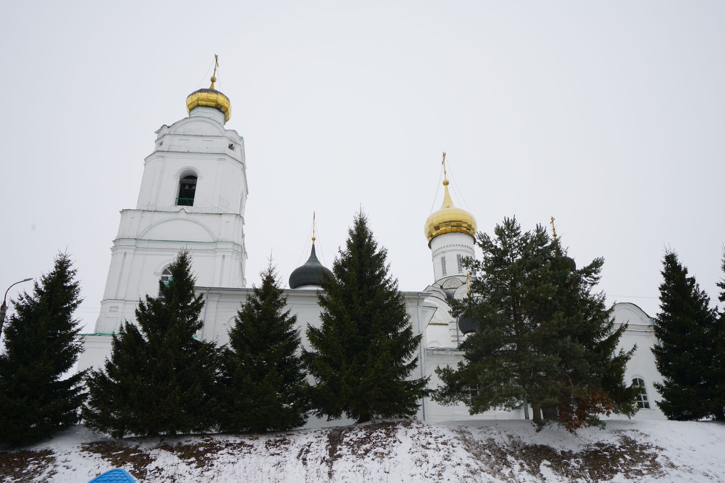 Свято-Троицкий Кафедральный Собор Вязьма, Россия