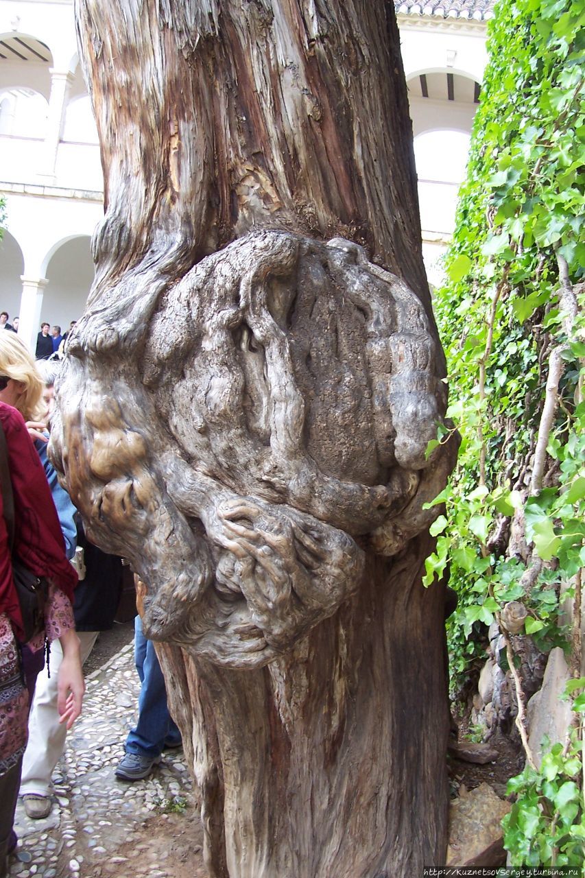 Гранада по минимуму Гранада, Испания