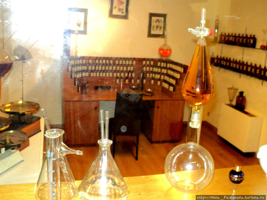 Моё знакомство с Лазурным берегом Прованс-Альпы-Лазурный берег, Франция