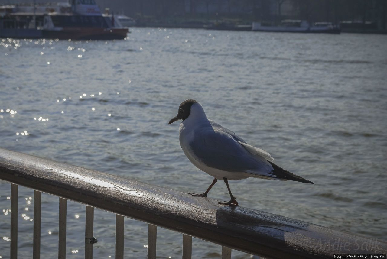 Через мосты Лондон, Великобритания