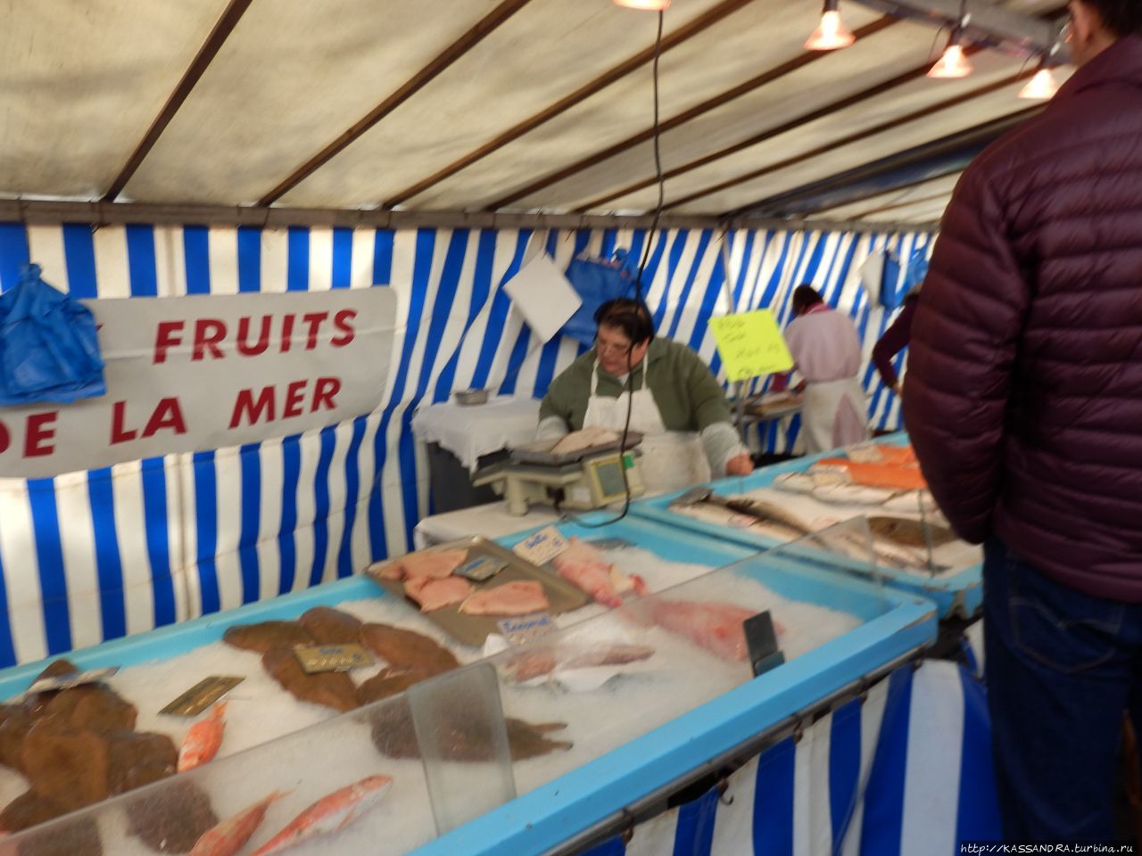 Кухня Прованса. Торговцы моллюсками Марсель, Франция