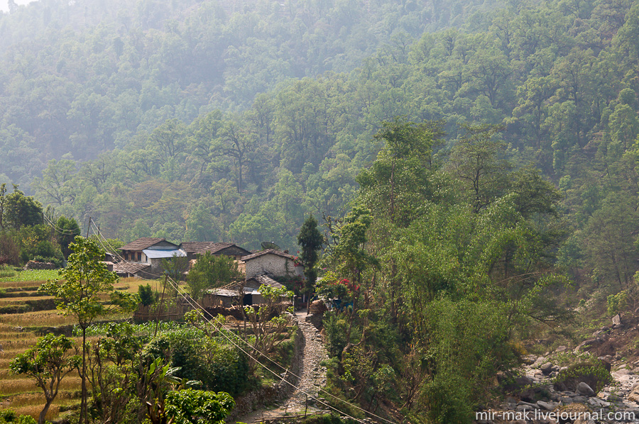 Трек начинается в поселке Наяпул (высота 1070 метров), это последняя точка, до которой можно доехать на машине. Здесь в специальном пункте пропуска за небольшую плату необходимо оформить разрешение на трек, «пермит», проверить еще раз свою укомплектованность, и, выйдя на тропу, шагать вперед в горы, попрощавшись на некоторое время с цивилизацией. Непал