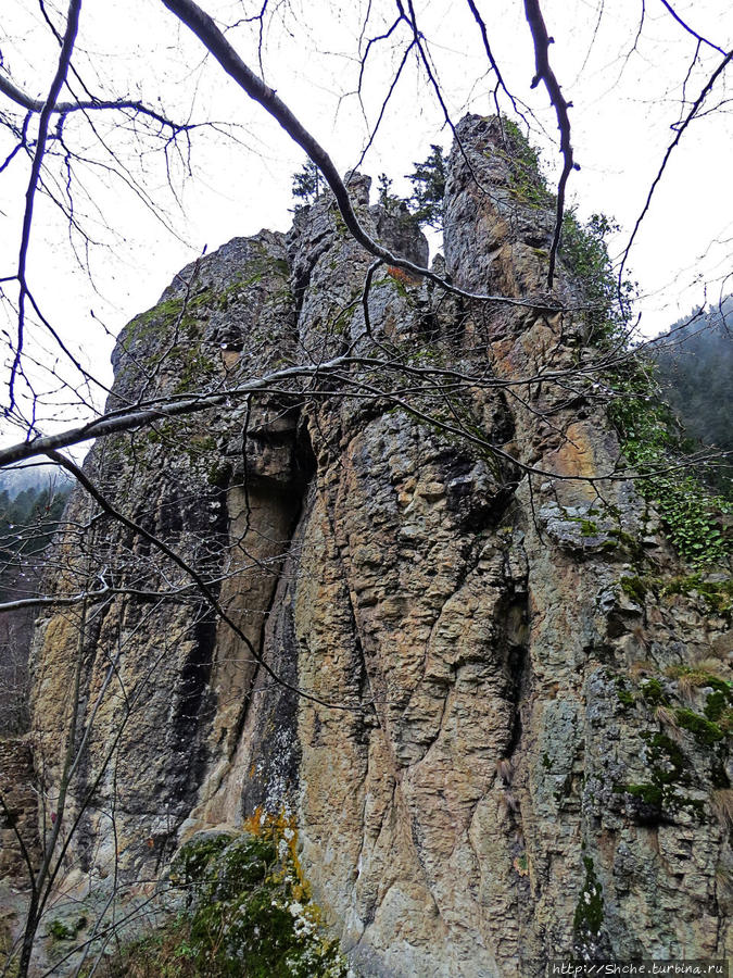 Старые руины Национальный парк Алтындере, Турция