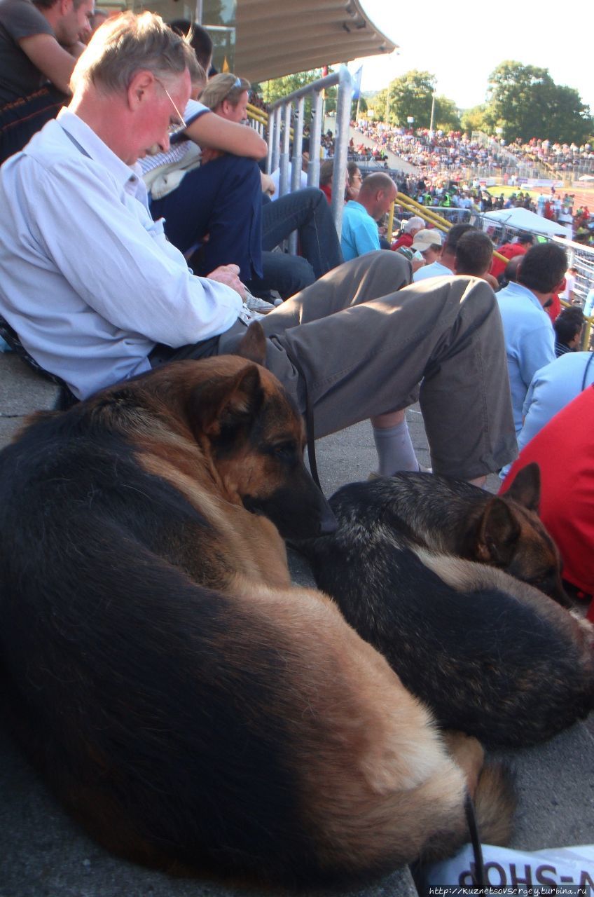 Зигер в Ульме Ульм, Германия