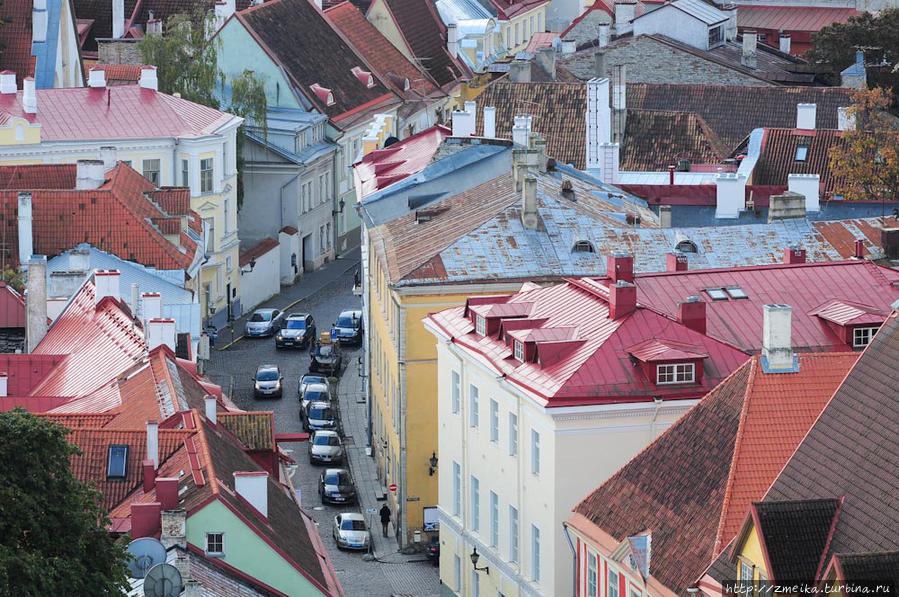 Кусочек улицы Lai, можно разглядеть разрисованный джип, рекламирующий галерею Таллин, Эстония