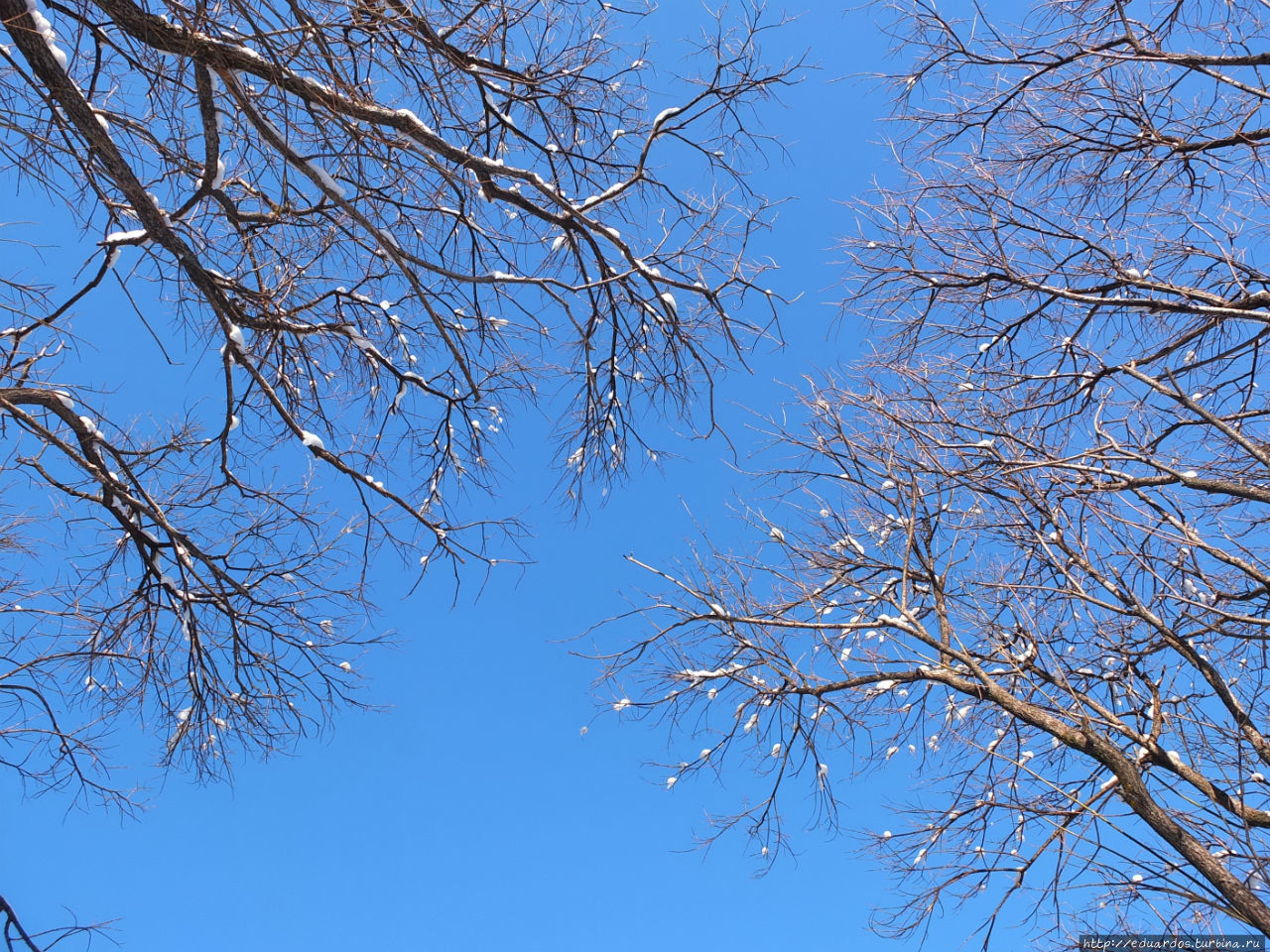 За Крещенской водой к проруби... Красноярск, Россия