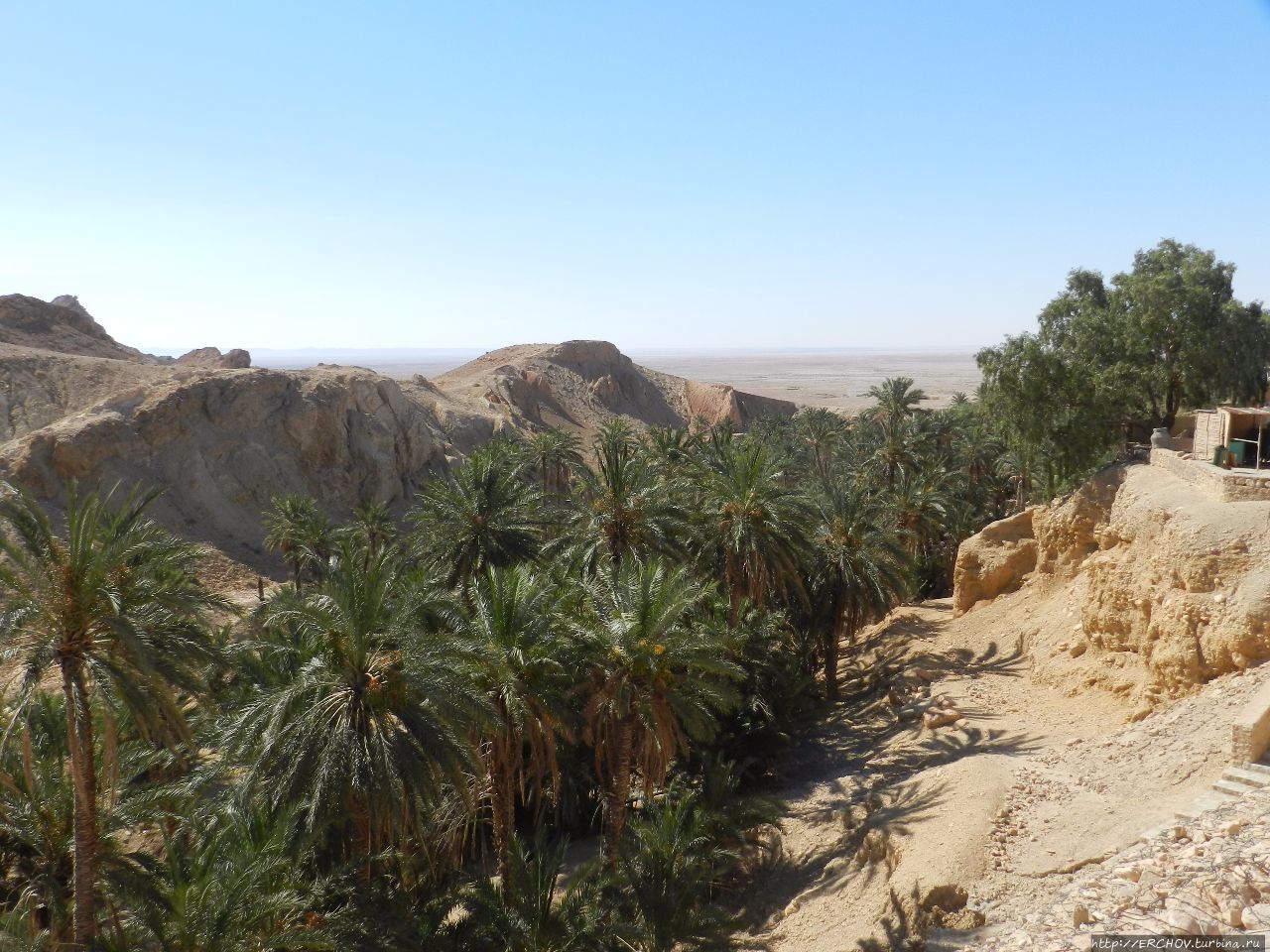 Экскурсия в Сахару. Ч — 7. Шебика — райский оазис Сахары Оазис Чебика, Тунис