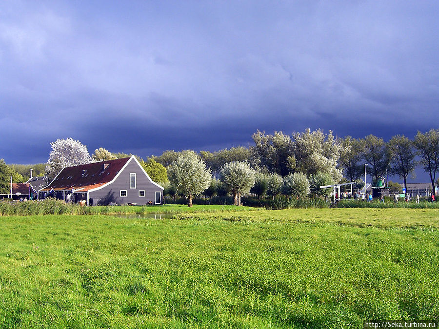 Набежавшие тучи еще больше оттеняли насыщенный цвет травы Зансе-Сханс, Нидерланды