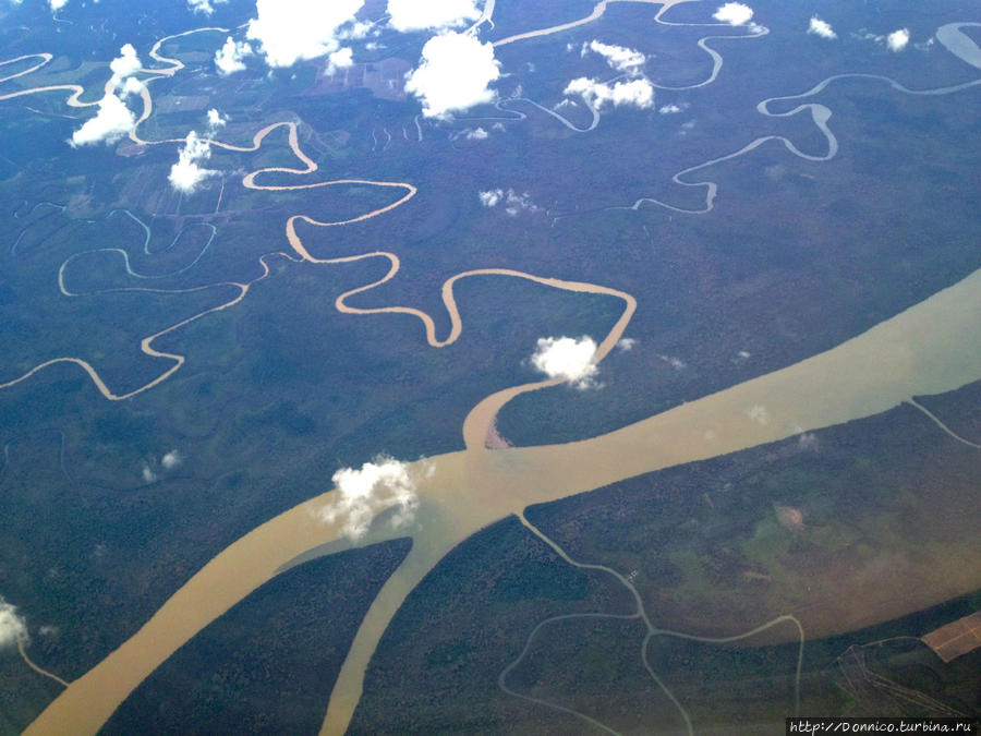 Явитесь перед мной, Летучие Обезьяны!