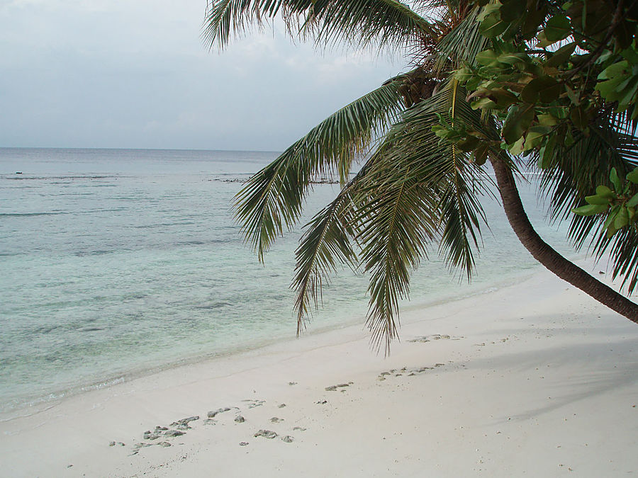 Знакомство с островом. Встану рано, по утру Мальдивские острова
