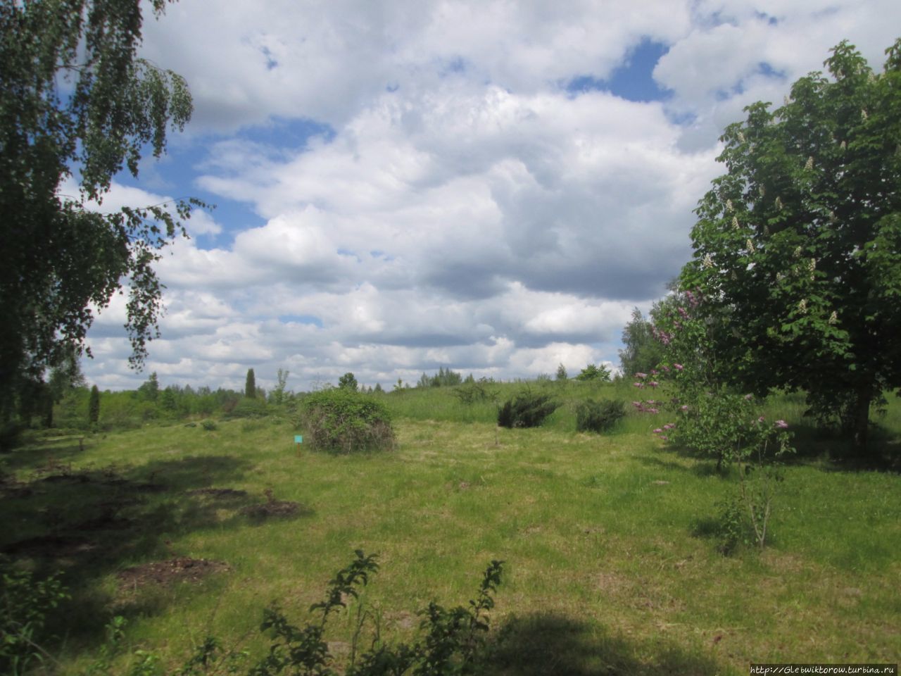 Прогулка в Дендрологический сад Нарочанского парка Мядель, Беларусь