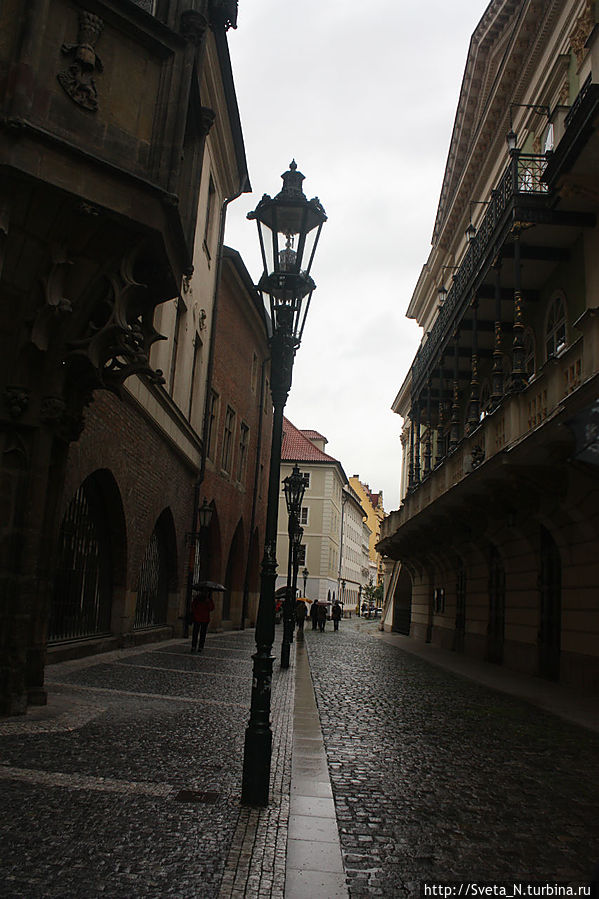 Между наукой и искусством