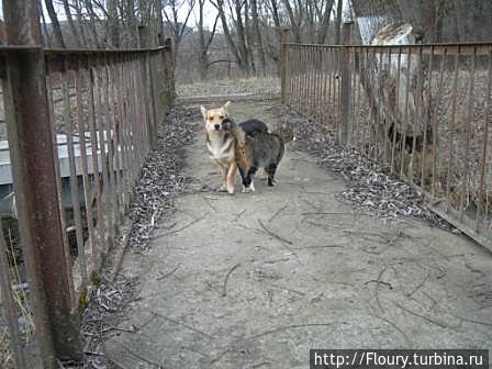 Возможно ответ...:)