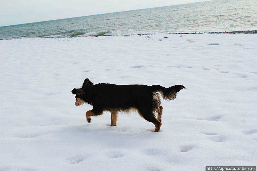 под снегом было все