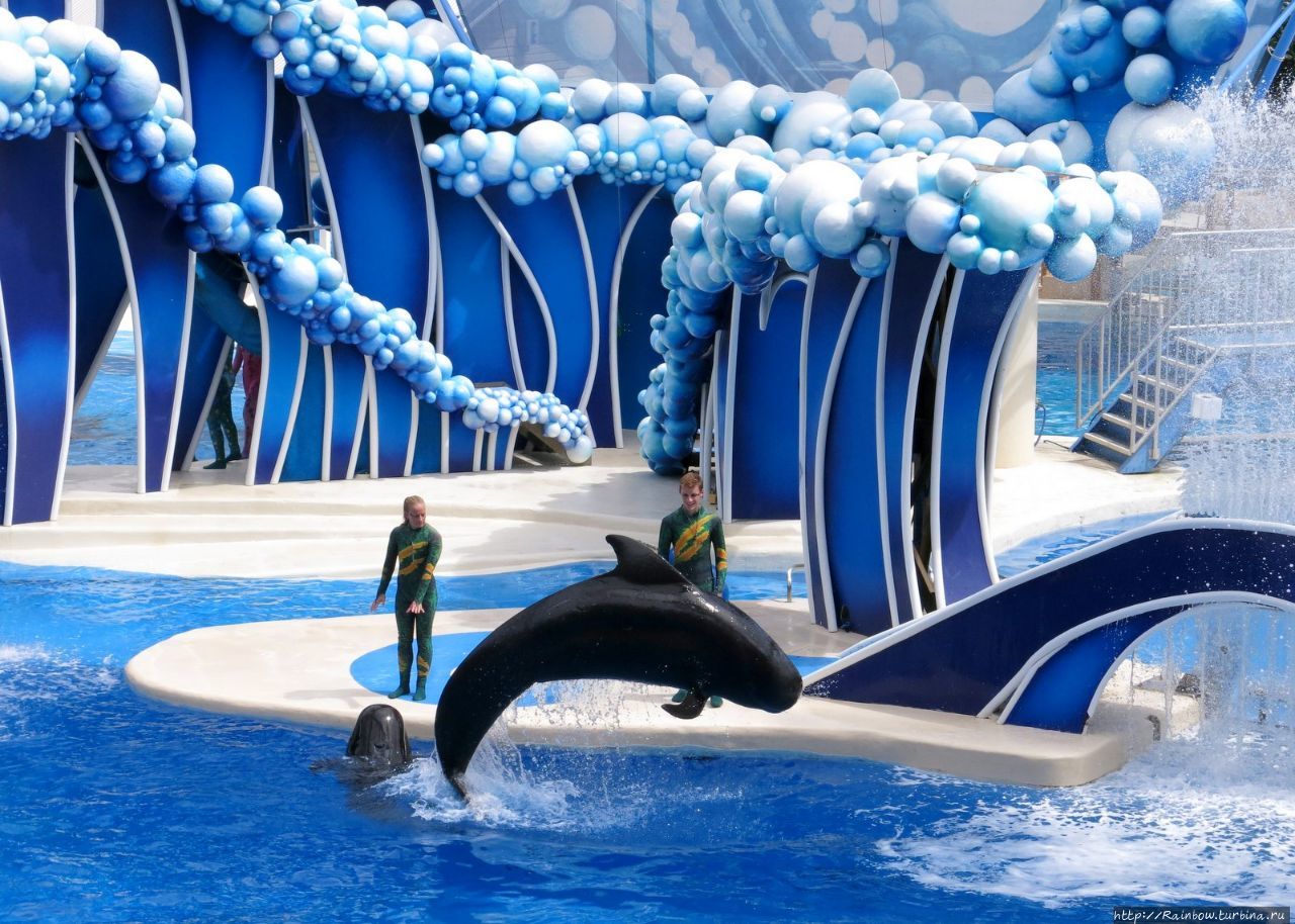 Год прекрасных путешествий