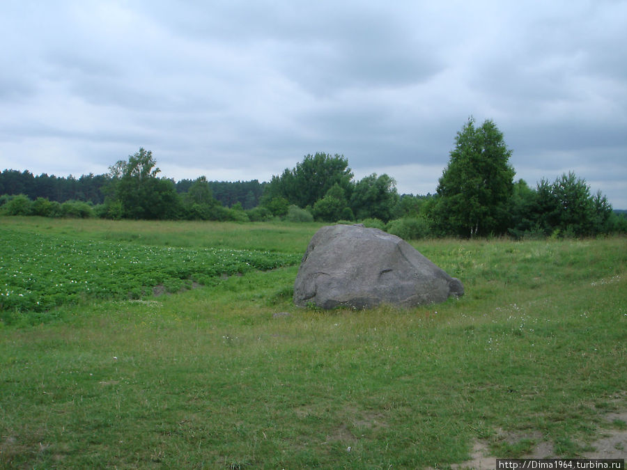 Чертов камень Друскининкай, Литва