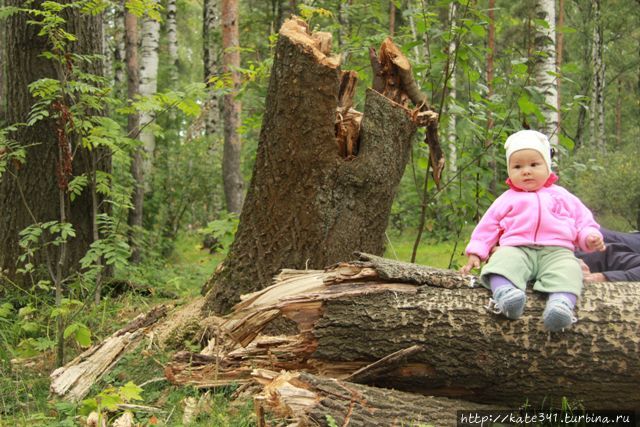 В стране берёзок, прохладного лета, селёдки и ОМС. Финал Санкт-Петербург, Россия