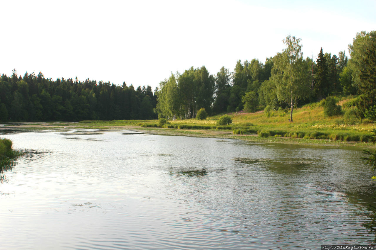 абрамцево река воря