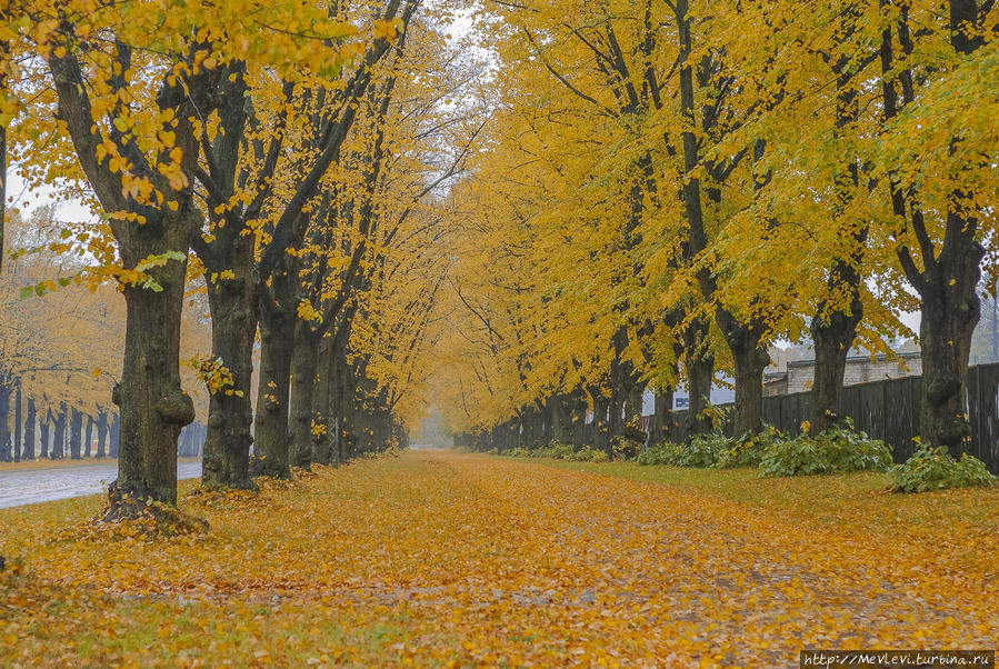 Романтическая осень в парке Аркадия Рига, Латвия