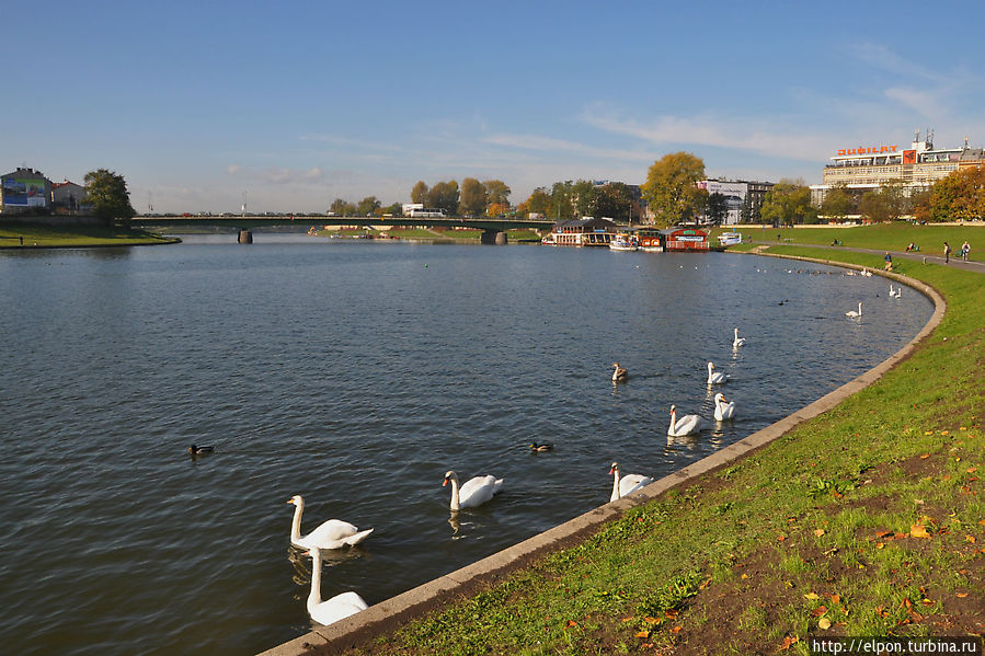 Осенний калейдоскоп в Кракове Краков, Польша