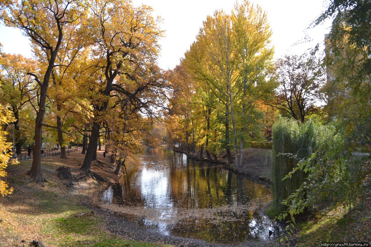 Городской парк культуры и отдыха 