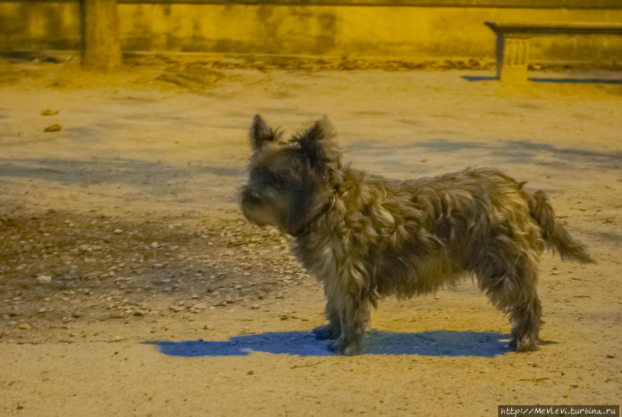 Прогулкапо ночному Парижу Париж, Франция