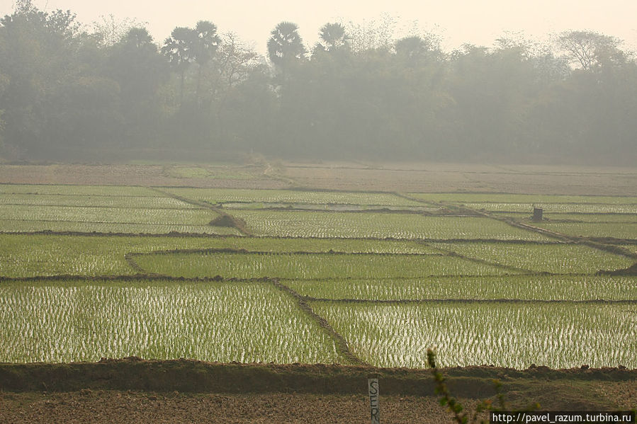 Ландшафты Индии
