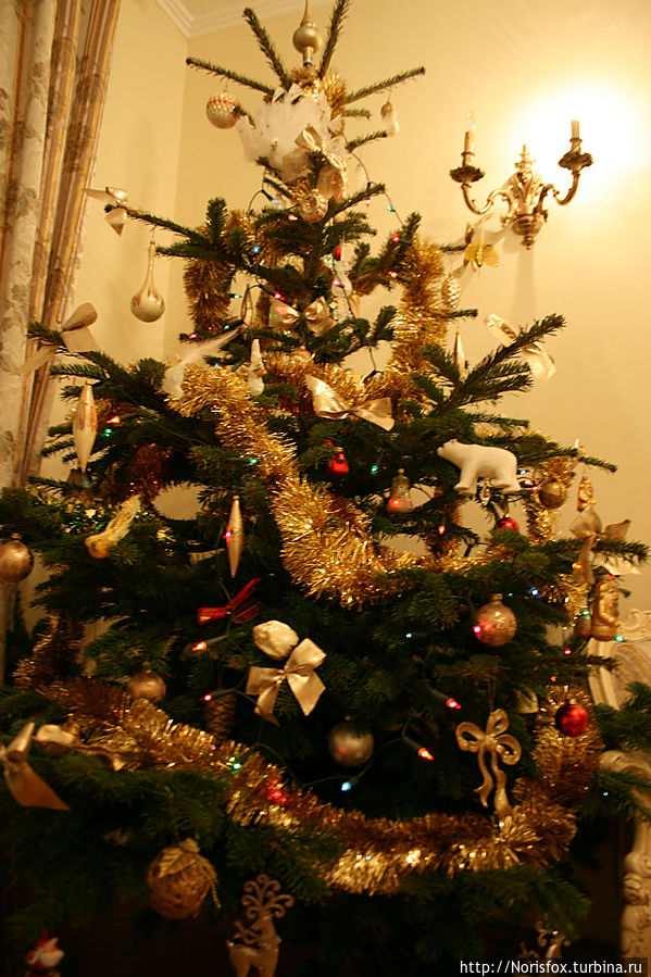 С Новым Годом!!!