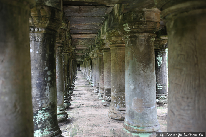 Храм Бапуон. Детали террасы. Фото из интернета