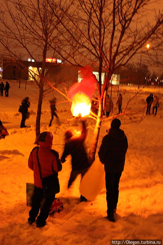 Фонарь застрял на ветках дерева