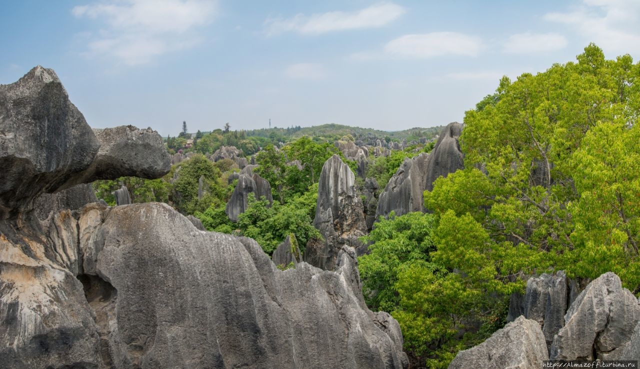 Каменный лес Шилинь Шилин, Китай
