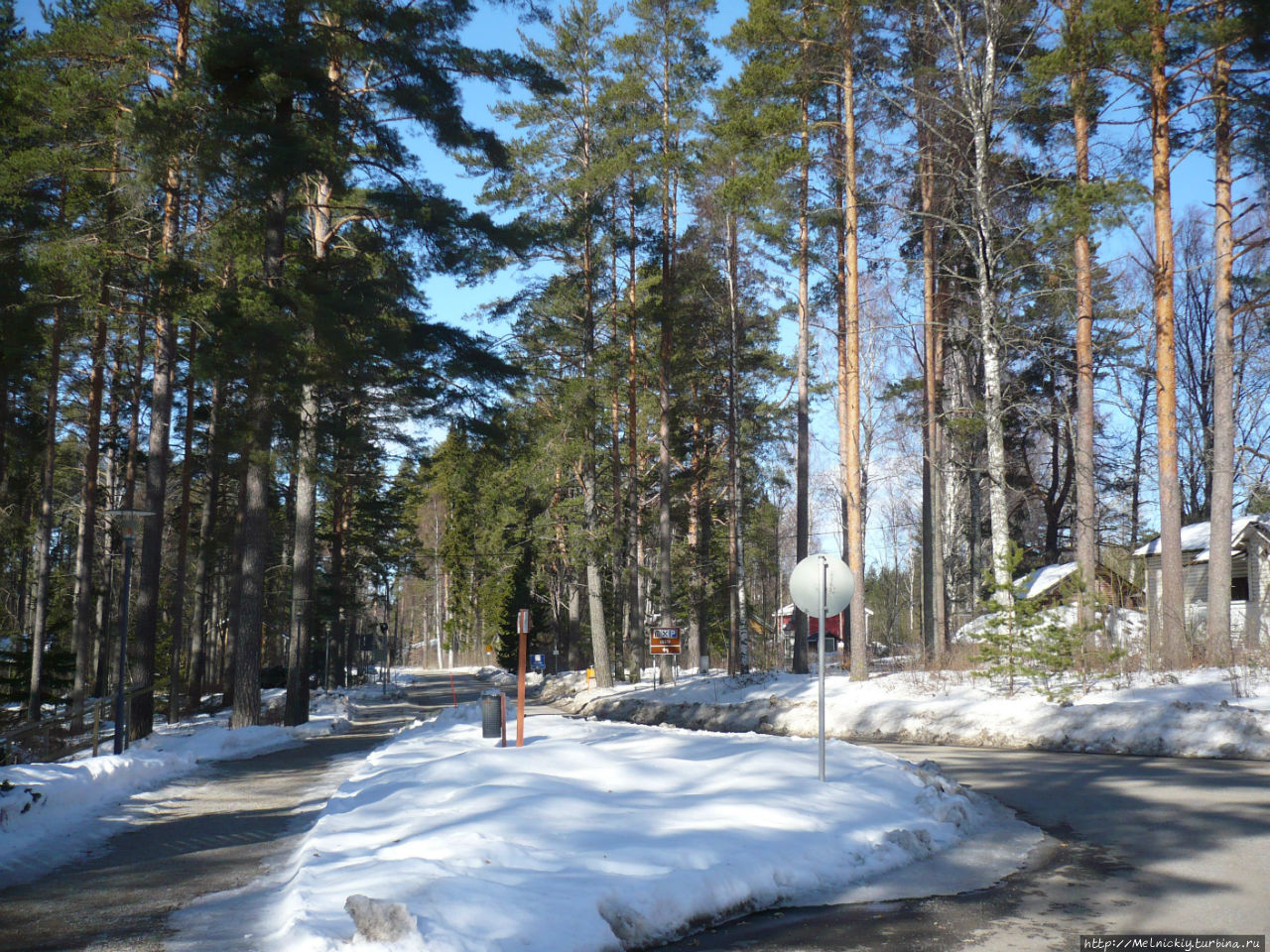 Санкт петербург хвойная