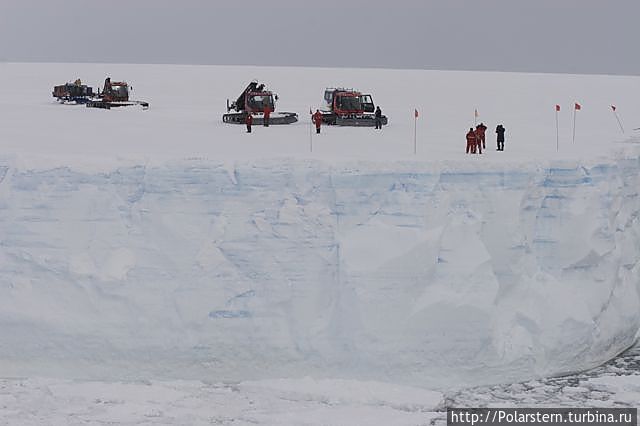 Антарктический шельфовый ледник в заливе Atka Атка Айспорт, Антарктида