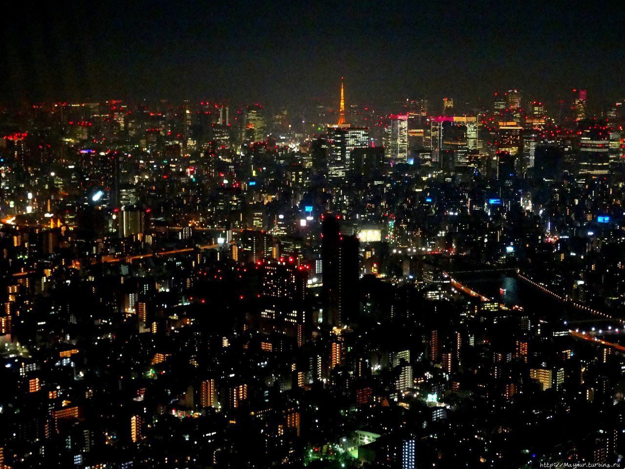 Токио  с высоты  450 м. Токио, Япония