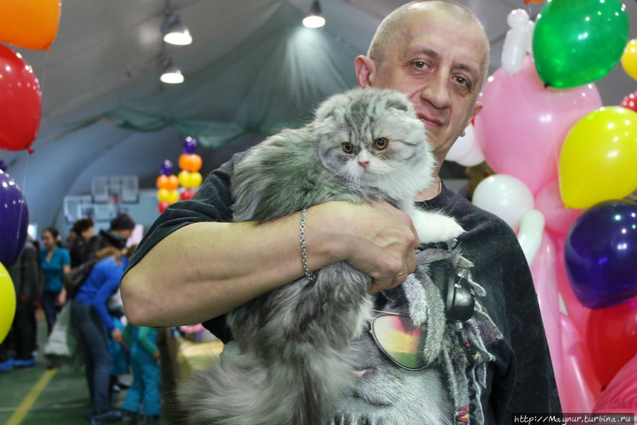 Самые  любимые... Южно-Сахалинск, Россия