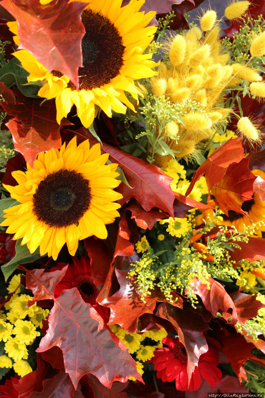 Осеннее оформление ярмарк