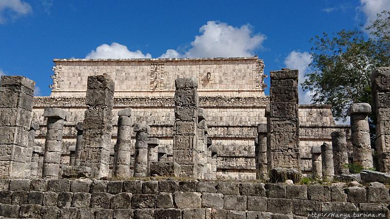 Из интернета