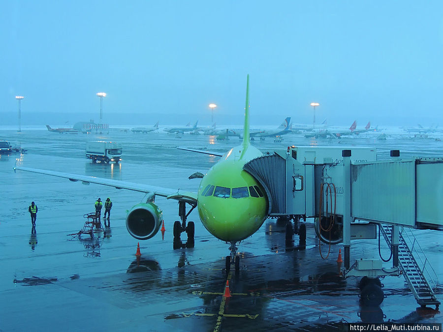 утро в Домодедово